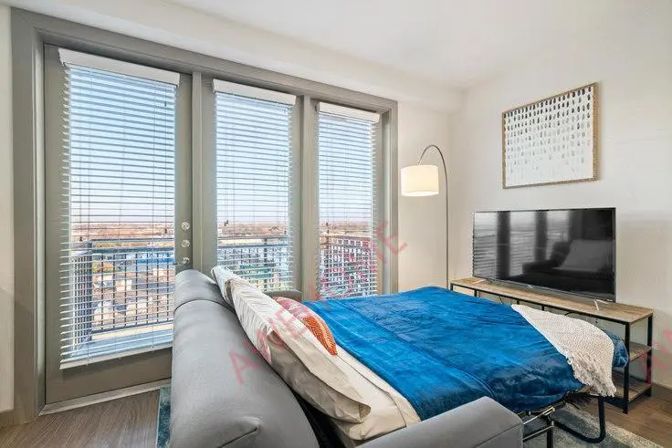 达拉斯租房South Center Street 379677P