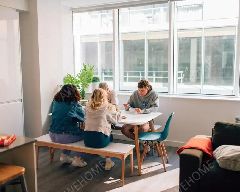 都柏林租房Point Campus Point Village