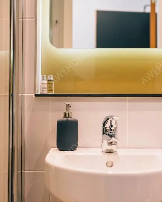 都柏林租房Point Campus Point Village