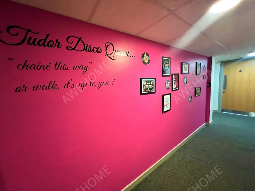 萊斯特租房Tudor Studios