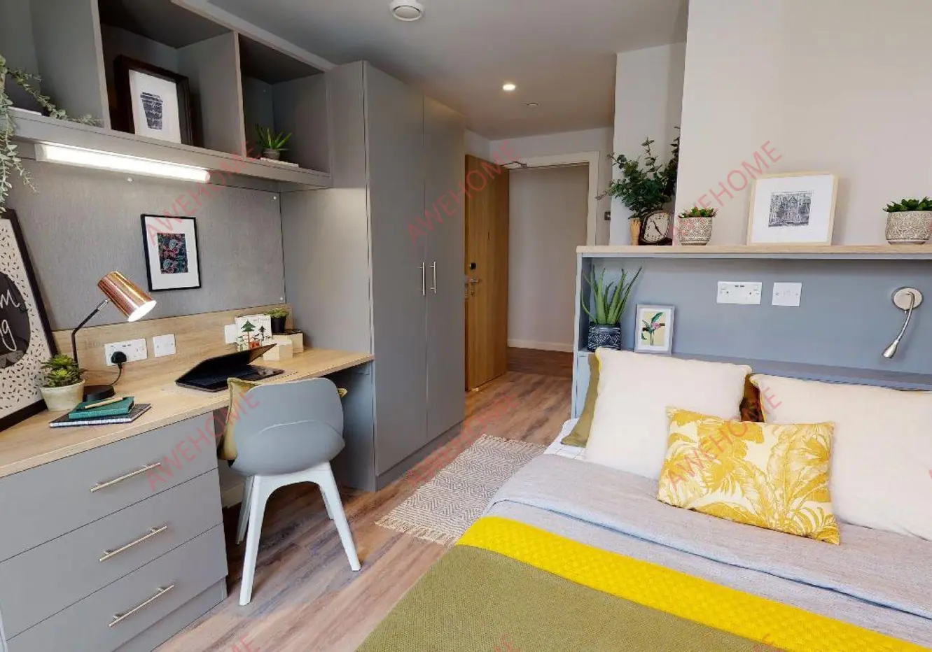 利茲租房iQ Altus House