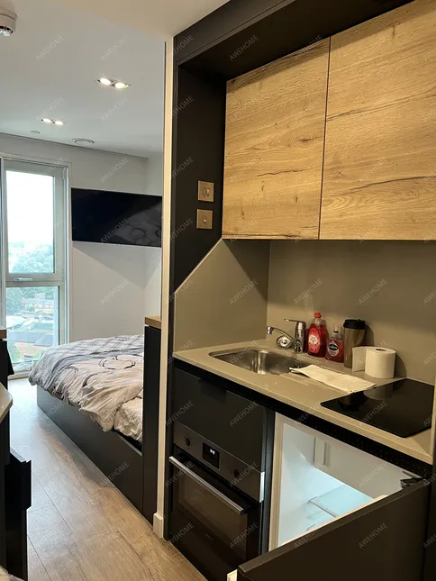 倫敦租房 Lewisham Exchange