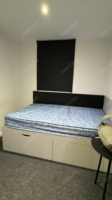 考文垂租房Downing Students City Village