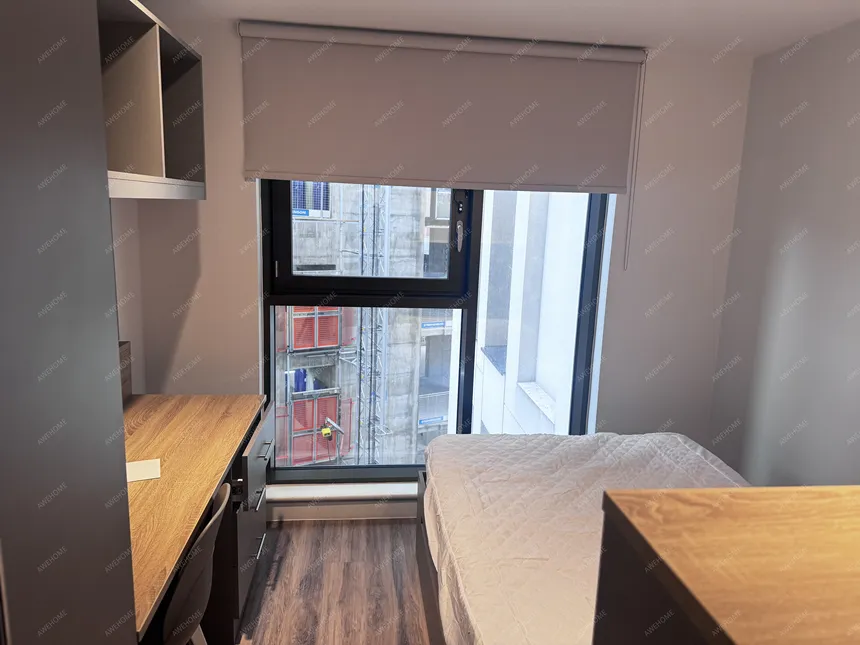 利茲租房iQ Altus House