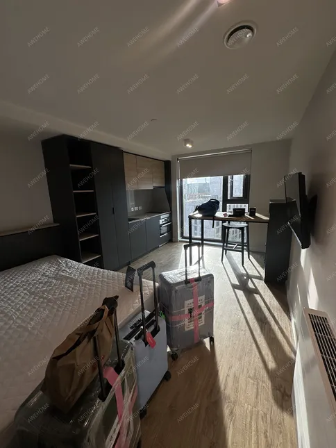 利茲租房Vita student leeds St Albans