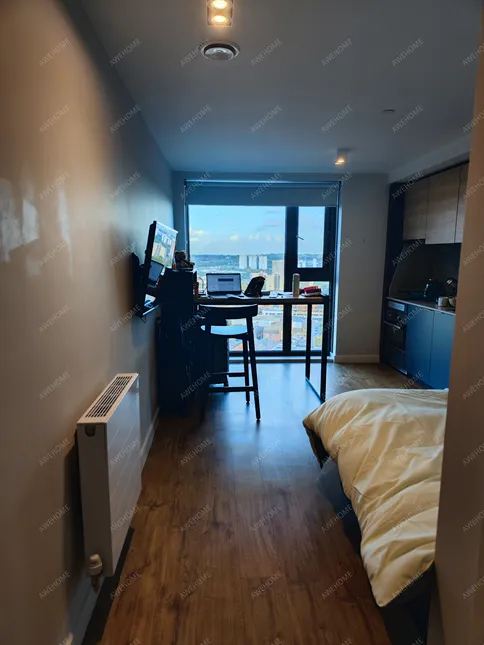 利茲租房Vita student leeds St Albans