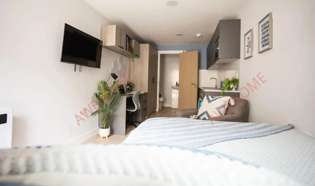 埃克塞特租房Boutique Student Living  Exeter