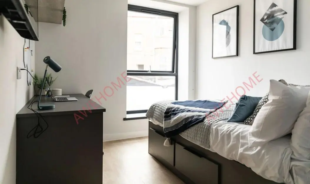 埃克塞特租房Boutique Student Living  Exeter