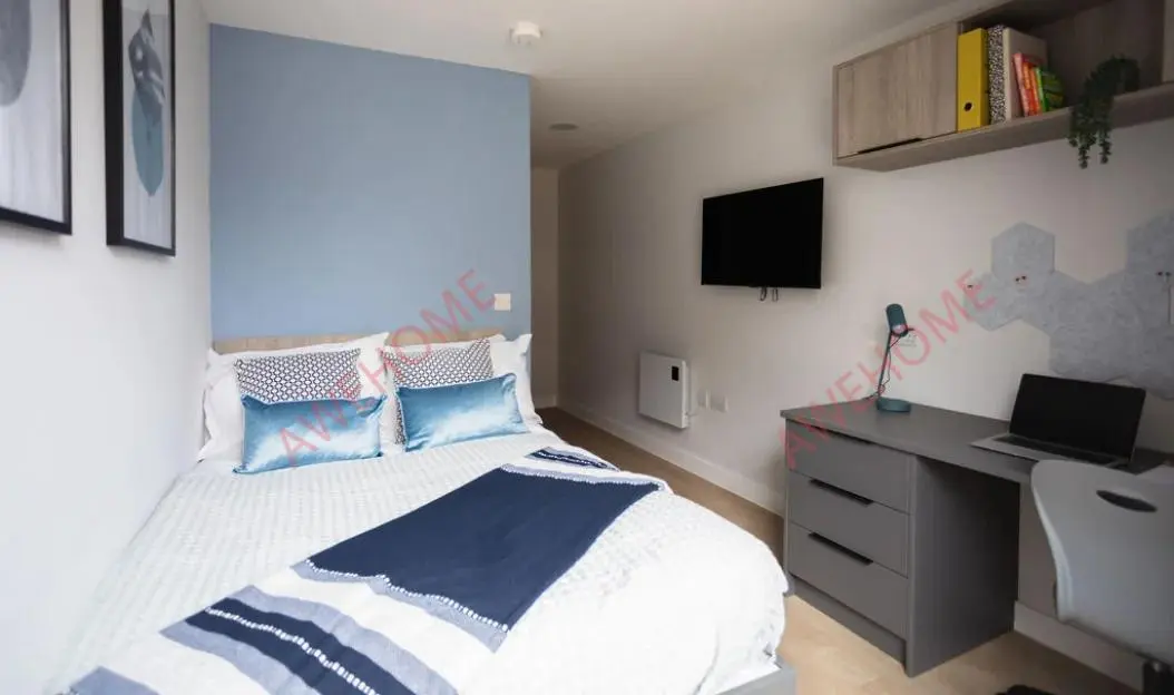 埃克塞特租房Boutique Student Living  Exeter