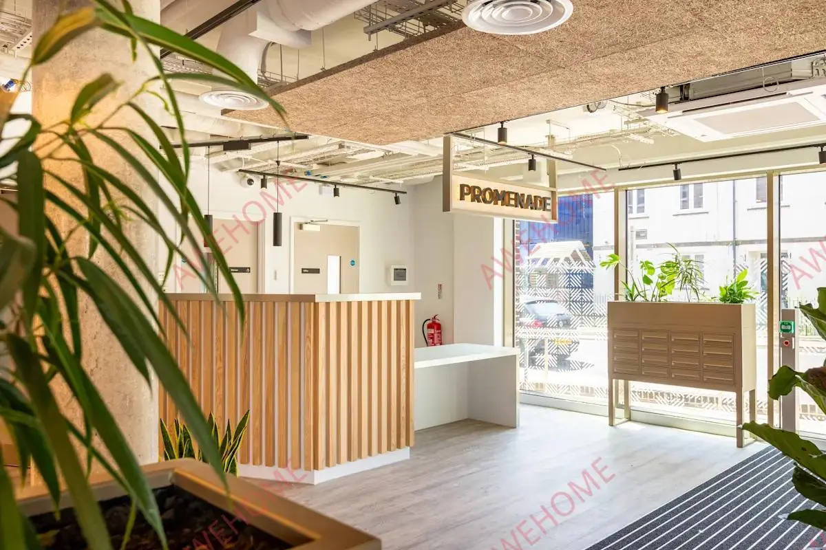 布萊頓租房Promenade Student Living-Brighton