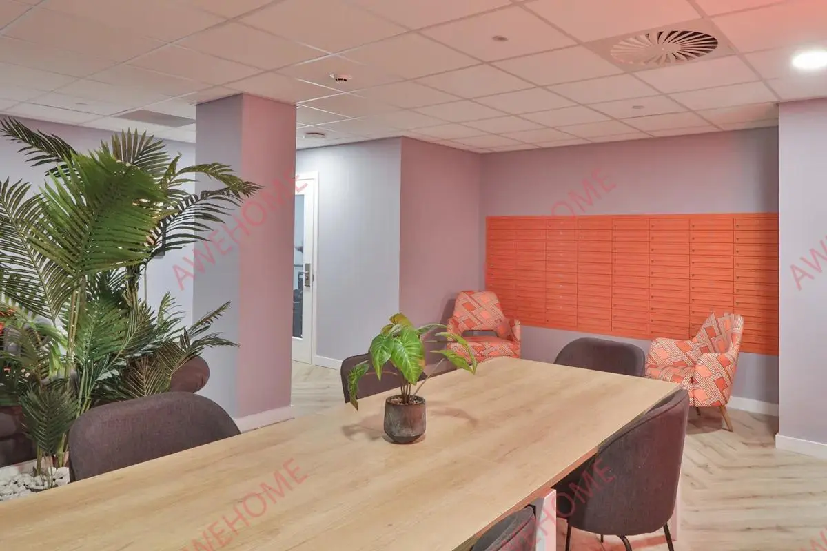 斯旺西租房Boutique  Swansea