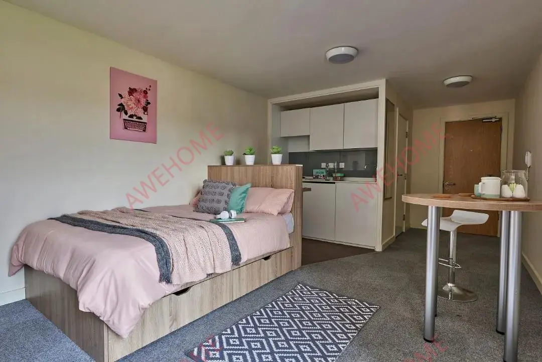 伯明罕租房Selly Oak Court  Birmingham