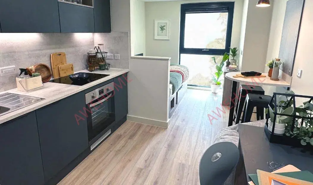 樸茨茅斯租房Stanley Studios  Portsmouth