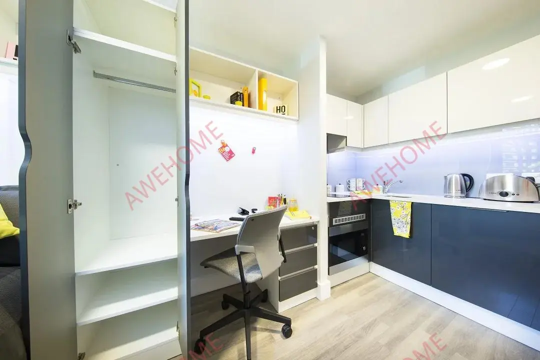 倫敦租房ViBe Student Living  Kingston