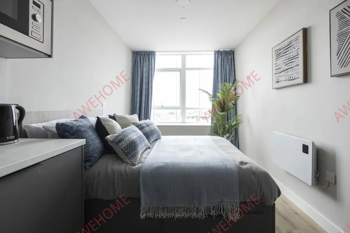 斯旺西租房Boutique  Swansea