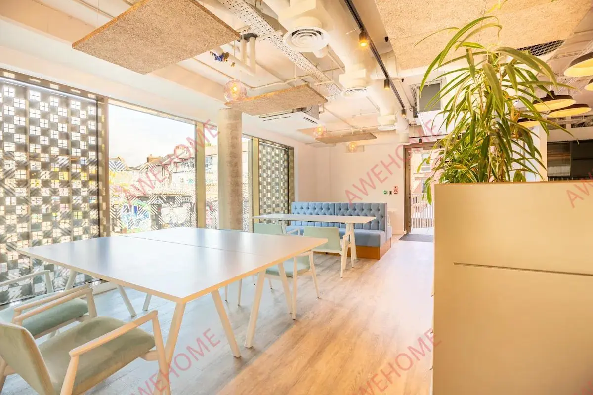 布萊頓租房Promenade Student Living-Brighton