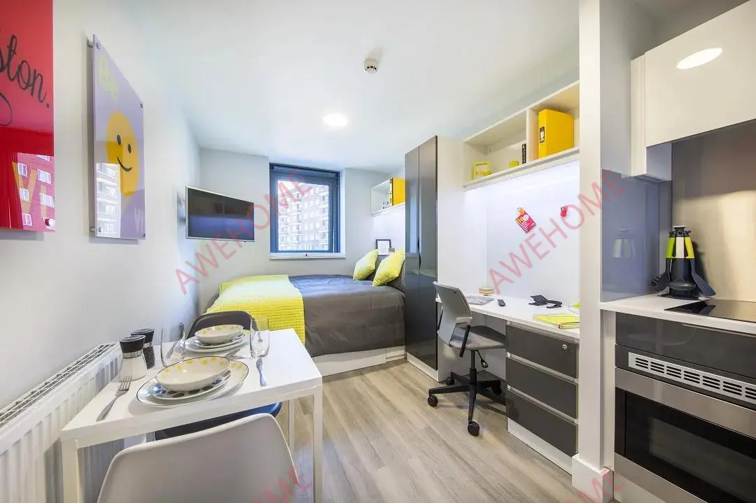倫敦租房ViBe Student Living  Kingston