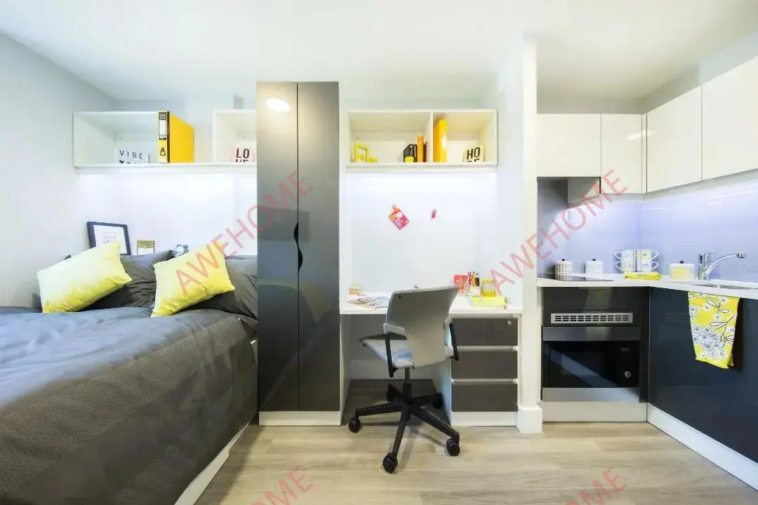 倫敦租房ViBe Student Living  Kingston