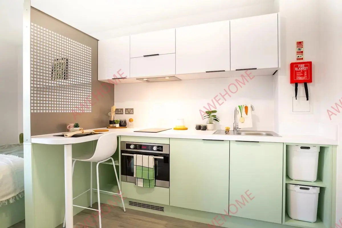 布萊頓租房Promenade Student Living-Brighton