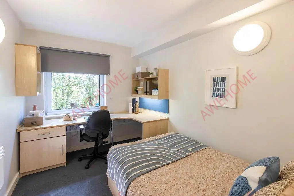 謝菲爾德租房Charlotte Court  Sheffield