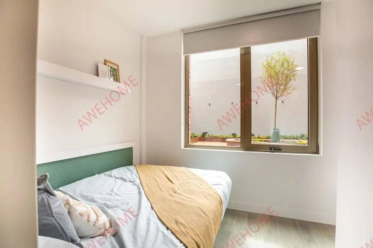 布萊頓租房Promenade Student Living-Brighton