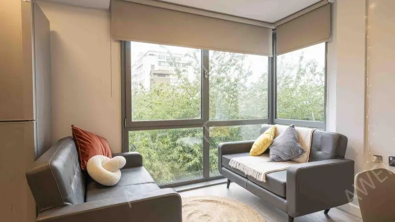 普利茅斯租房iQ Astor House