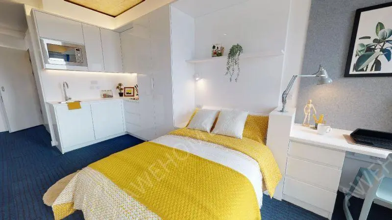 布萊頓租房iQ Brighton