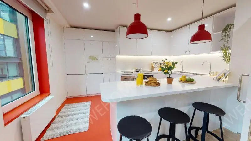 布萊頓租房iQ Brighton