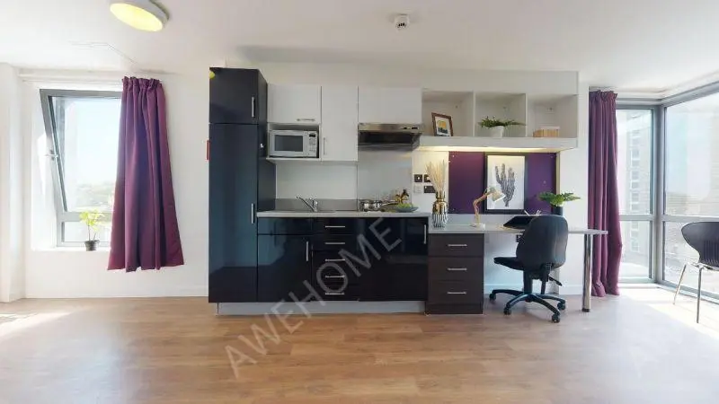 普利茅斯租房iQ Astor House