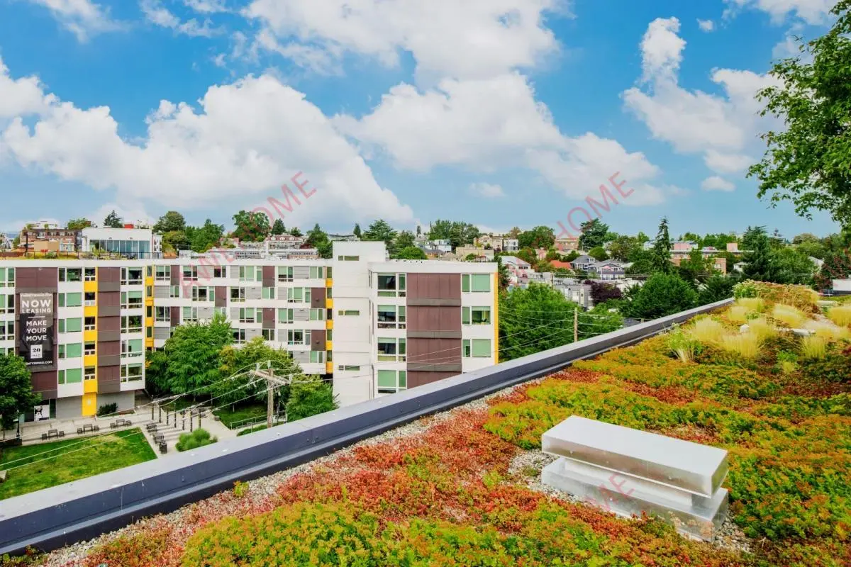 西雅圖租房Avant Apartments