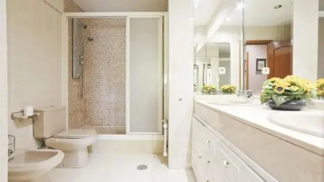 馬德里租房apartment near Paseo de la Castellana