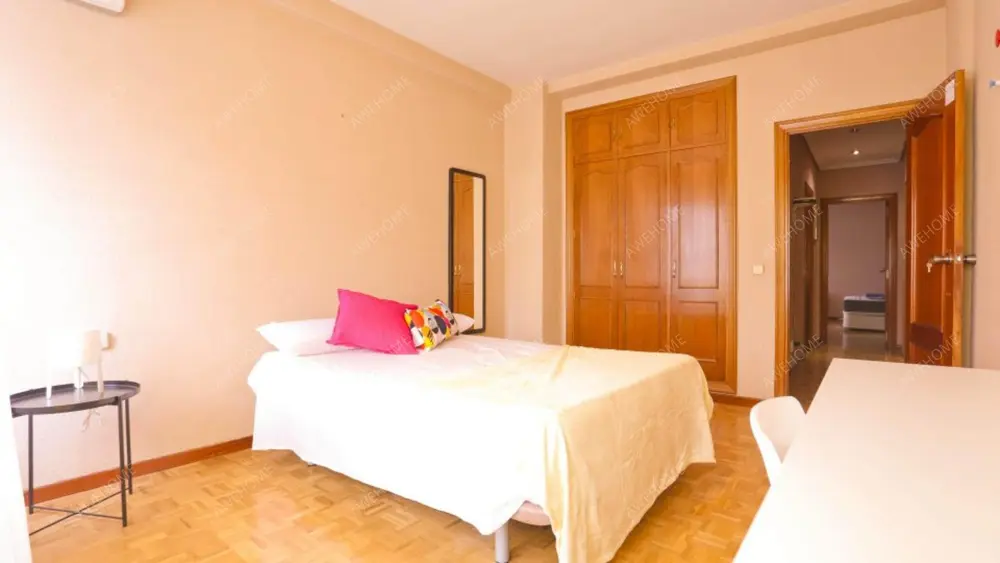 馬德里租房apartment near Paseo de la Castellana