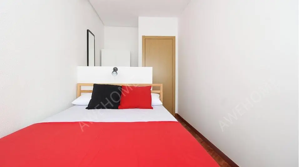 馬德里租房PASEO DE LA CASTELLANA 213 6IZQ MADRID