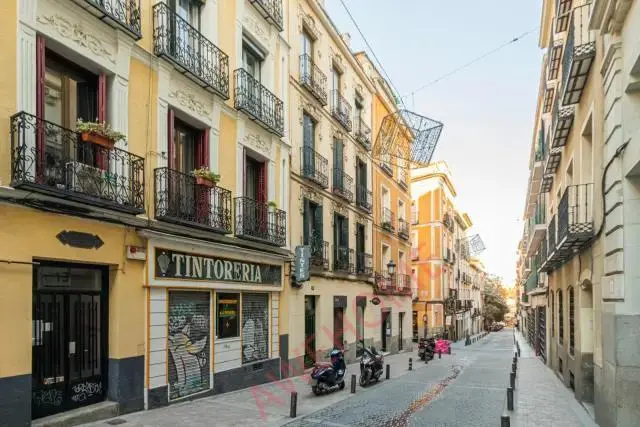 馬德里租房apartment in Huertas   Cortes (Centro)