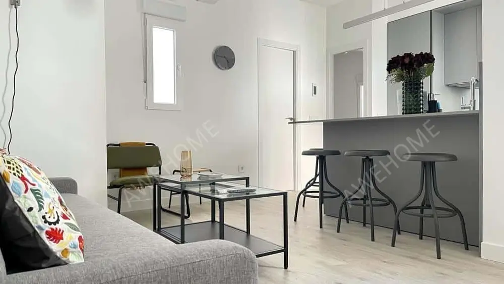 馬德里租房PISO ILUSTRACION - MADRID
