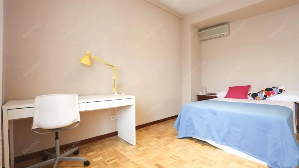馬德里租房apartment near Paseo de la Castellana