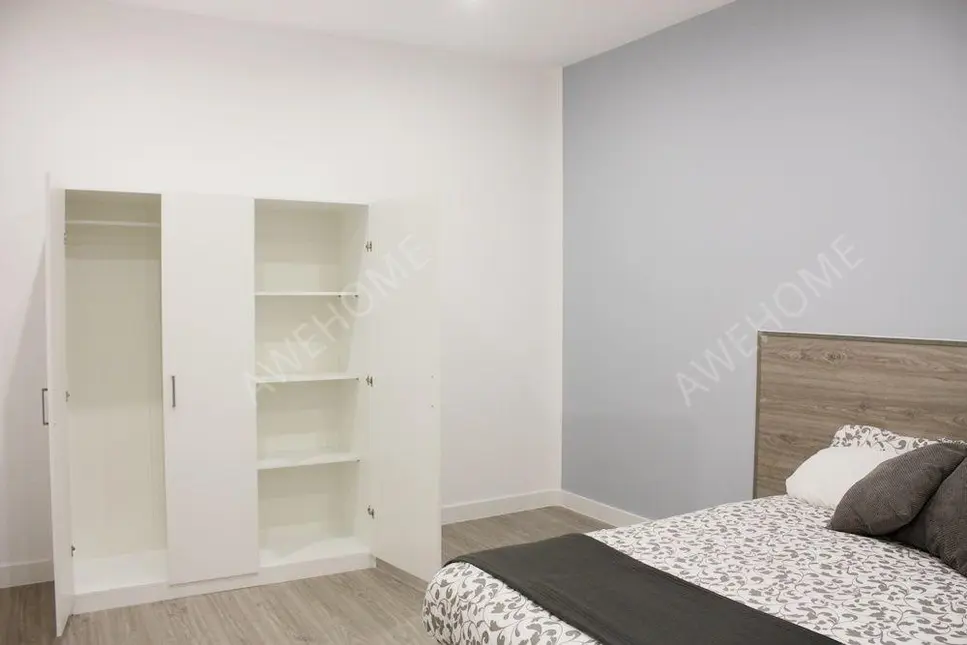 馬德里租房Calle de Nunez de Balboa,28006