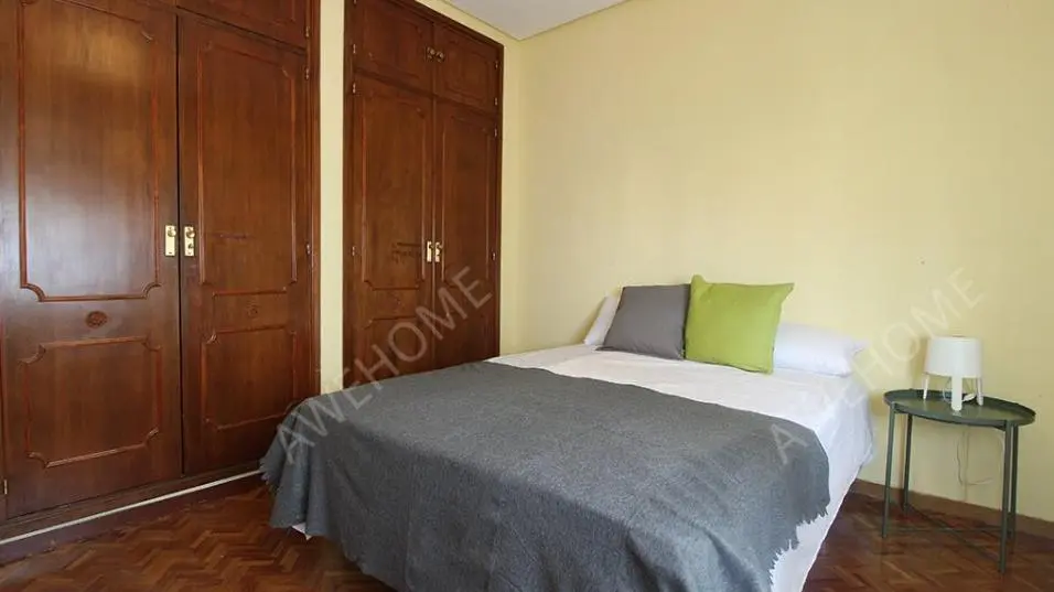 馬德里租房PASEO DE LA CASTELLANA 213 6IZQ MADRID