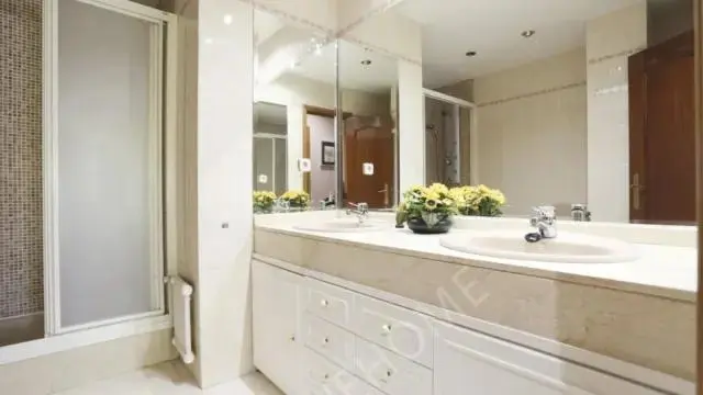 馬德里租房apartment near Paseo de la Castellana