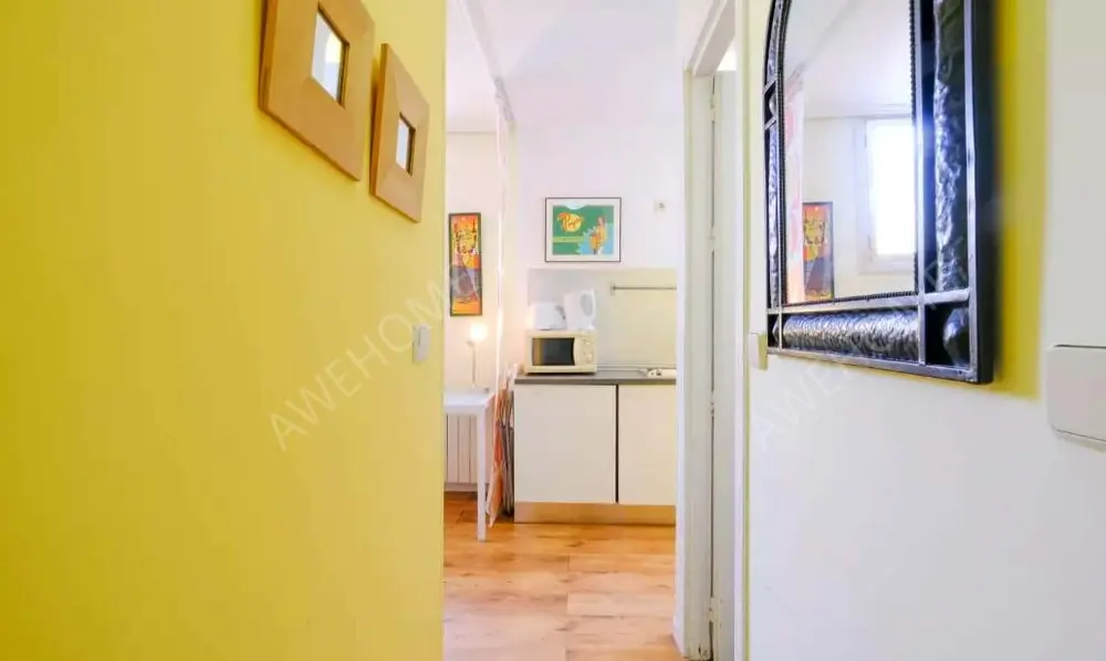 馬德里租房Monthly Rental Charming Apartment Glorieta Bilbao