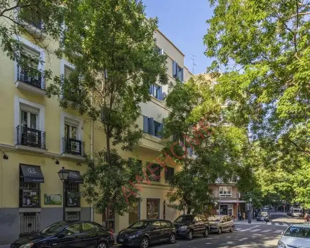 馬德里租房apartment in Trafalgar (Chamberi)