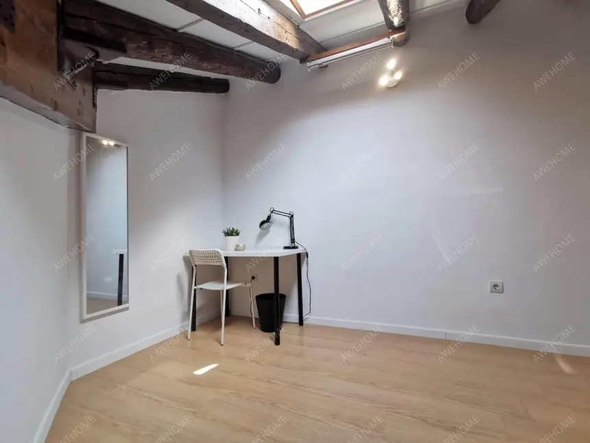 馬德里租房apartment in Sol (Centro)