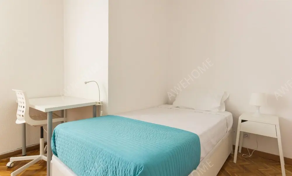 馬德里租房apartment near Paseo de la Castellana