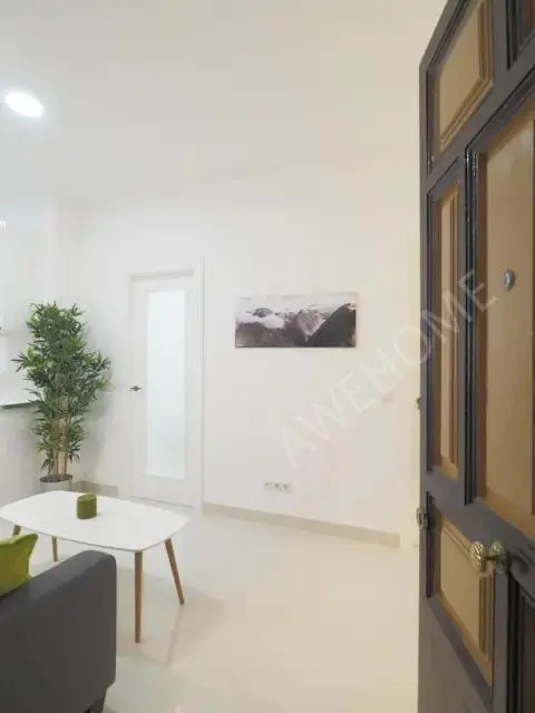 馬德里租房apartment in Almagro (Chamberi)