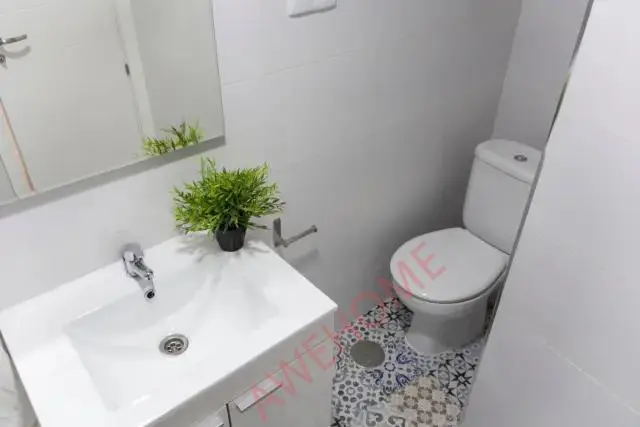 馬德里留學租房