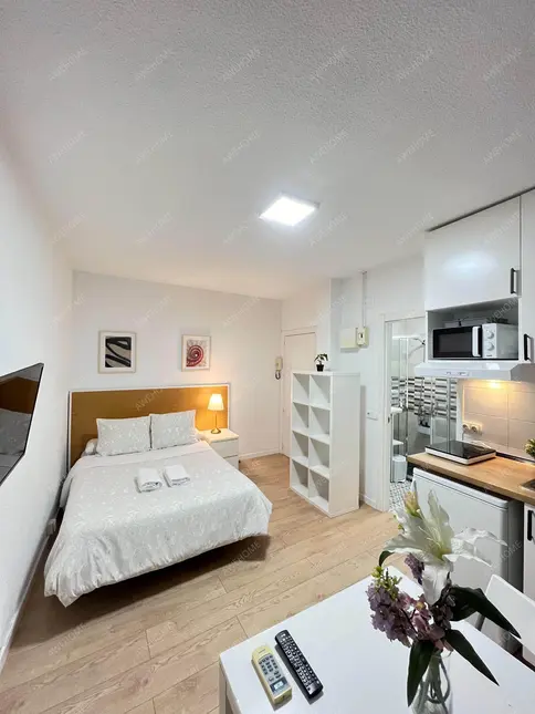 馬德里租房apartment in Gaztambide (Chamberi)