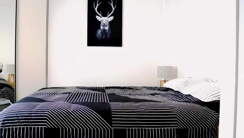 Auckland Rentals421 Queen Street
