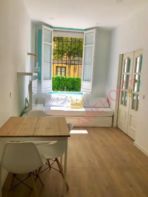 馬德里租房studio in Delicias (Arganzuela)