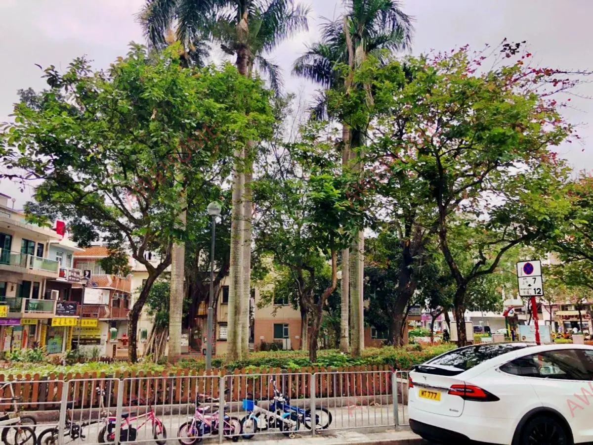 中國香港租房大圍積富街整棟公寓