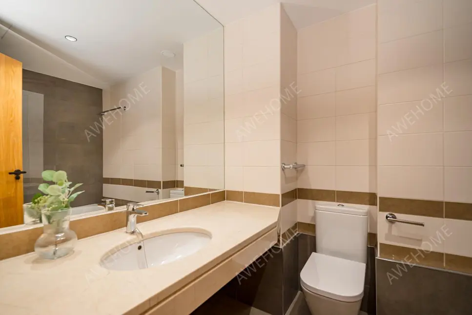 馬德里租房apartment in New Spain